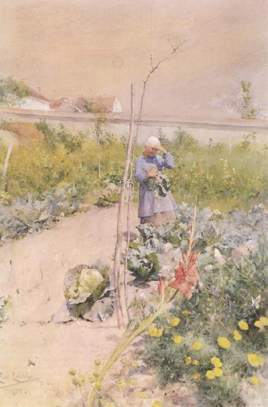 Carl Larsson In the Kitchen Garden oil painting image